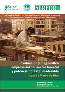 Evaluación y diagnóstico empresarial del sector forestal y potencial forestal maderable